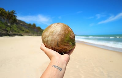 photo 1544905840 d2d4d4c2c795?ixlib=rb 1.2