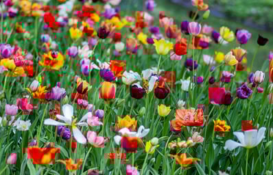 photo 1559150180 a0b6c0a1193d?ixlib=rb 1.2