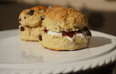 photo 1589114471223 dec0d8d572c6?ixlib=rb 1.2