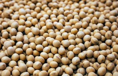 photo 1639843606783 b2f9c50a7468?blend=000000&blend alpha=10&blend mode=normal&blend w=1&crop=faces%2Cedges&h=630&mark=https%3A%2F%2Fimages.unsplash.com%2Fopengraph%2Flogo.png&mark align=top%2Cleft&mark pad=50&mark w=64&w=1200&auto=format&fit=crop&q=60&ixid=M3wxMjA3fDB8MXxhbGx8fHx8fHx8fHwxNzExMjM3MTU5fA&ixlib=rb 4.0