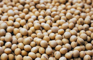 Soybeans Are Subsidized By The Government, & Here's What That Means For You 2 photo 1639843606783 b2f9c50a7468?blend=000000&blend alpha=10&blend mode=normal&blend w=1&crop=faces%2Cedges&h=630&mark=https%3A%2F%2Fimages.unsplash.com%2Fopengraph%2Flogo.png&mark align=top%2Cleft&mark pad=50&mark w=64&w=1200&auto=format&fit=crop&q=60&ixid=M3wxMjA3fDB8MXxhbGx8fHx8fHx8fHwxNzExMjM3MTU5fA&ixlib=rb 4.0