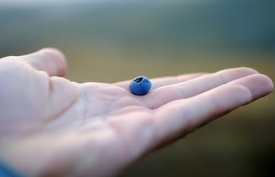 a780b802?ixlib=rb 0.3