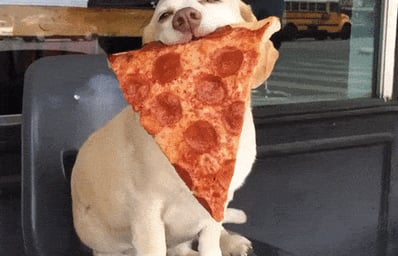 giphy s