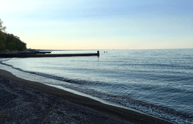 Shore Scape