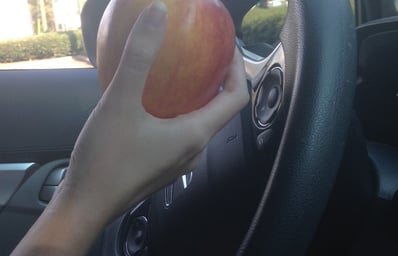 edited eating while driving photo lindsey