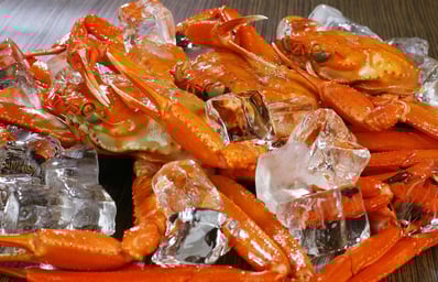 snow crab 1527603 1280