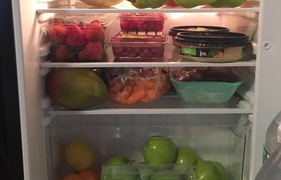 fridge 1