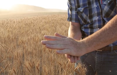 CM Mitch farmer2
