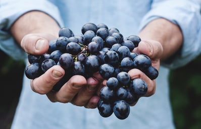food healthy man person