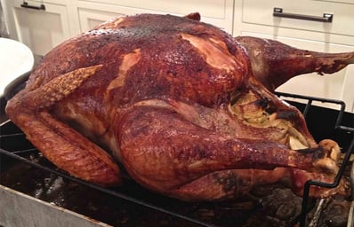 turkey2