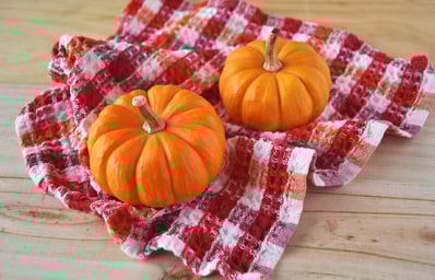 minipumpkins 3