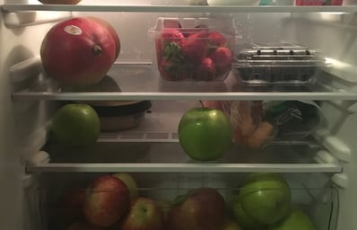 fridge 7