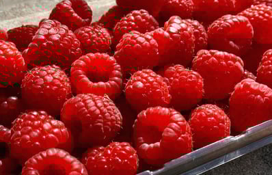 rasberries2