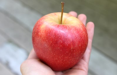 Baker Katherine CarbStory Apple