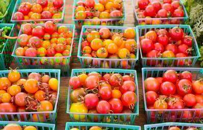 pavolos1