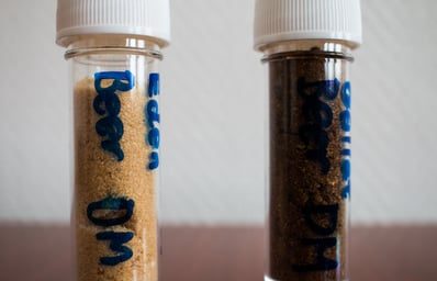 powdered beer tubes