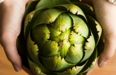 artichoke hands