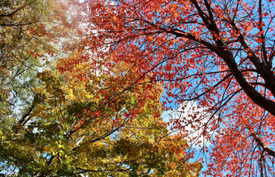 coverphoto givingback
