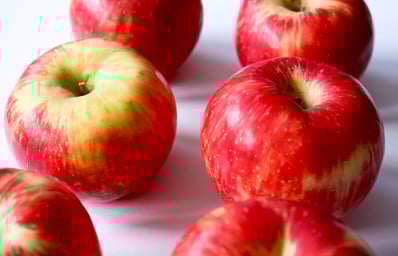 honeycrisps apples 3