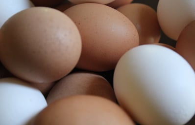 COVER EGGS