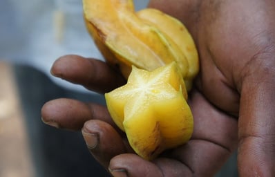 starfruit 230206 640