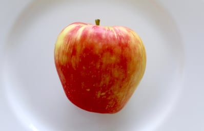 IMG 7268