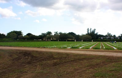 farm