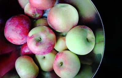 Apples9 EllenGibbs