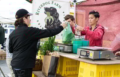 farmers' market purchasing produce