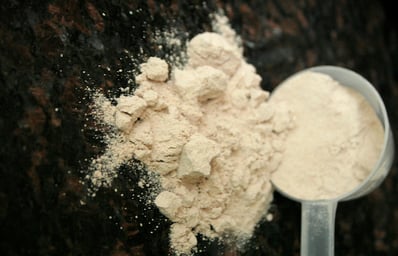 protein allison wojtowecz1
