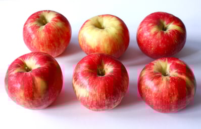 honeycrisps apples 4