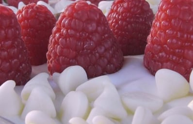 YogurtBark Featured