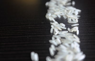 rice grains