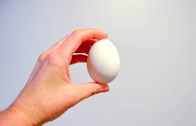 egg 2