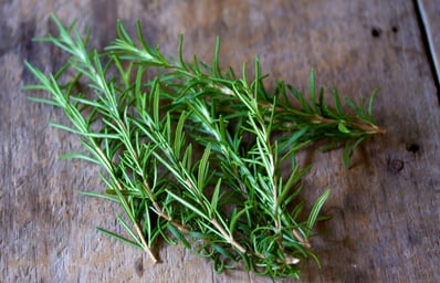 rosemary
