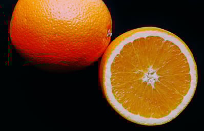 Orange Slice Above Shot Ellen Gibbs