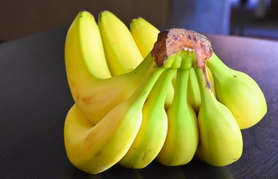 banana bunch 3 JOCELYN HSU