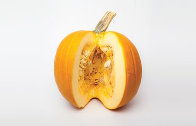 02 pumpkin