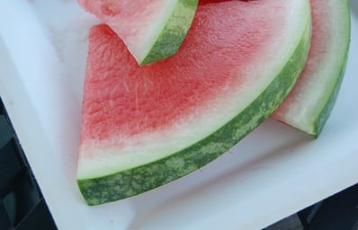 watermelon