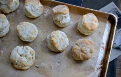 Bacon Biscuits 1