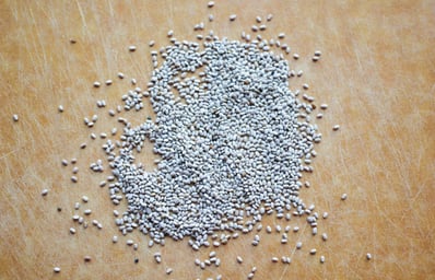 chia seeds