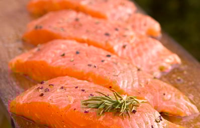 Salmon Fillets CREDIT AquaBounty