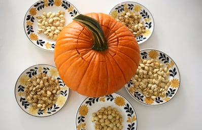 plates arond pumpkin 1