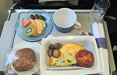 plane food