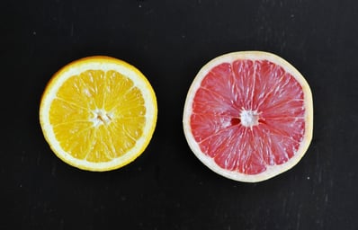 Citrus Paulina Lam