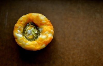 CheddarJalapenoMuffins