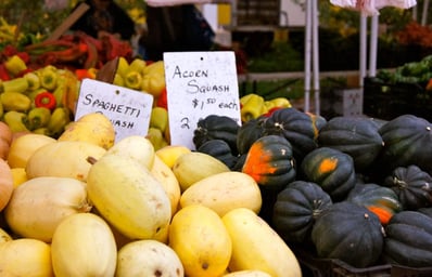 Squash Amanda Gajdosik