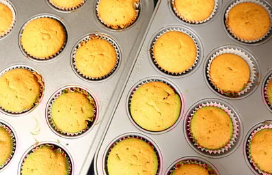 chocochip cupcakes