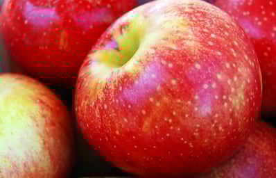 apples alice henneman