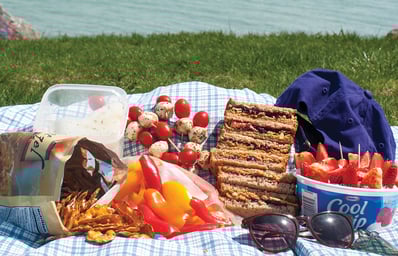 3 picnic1